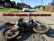IMG_1481.PNG